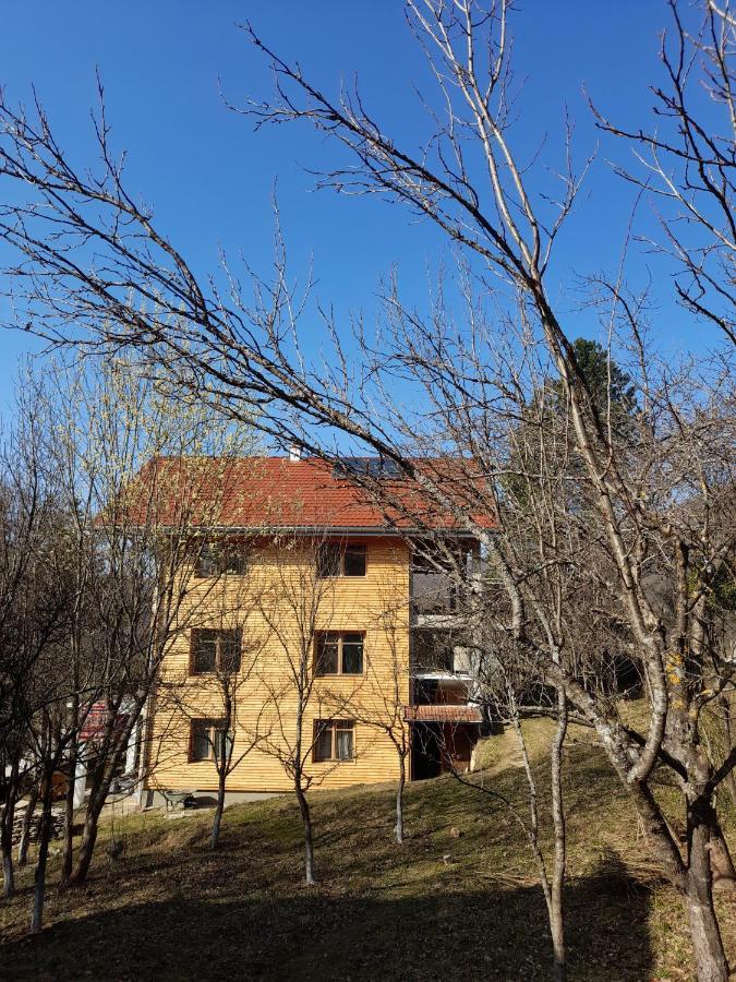 קולן וקוף Atlantis Home מראה חיצוני תמונה